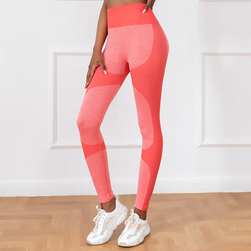 gym yoga trousers seamless
